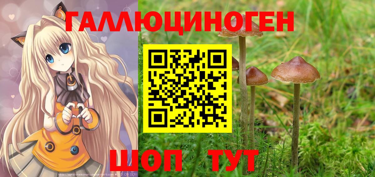 Галлюциногенные грибы прущие грибы  Вход с VPN  Псилоцибиновые грибы Cubensis  Миллерово 