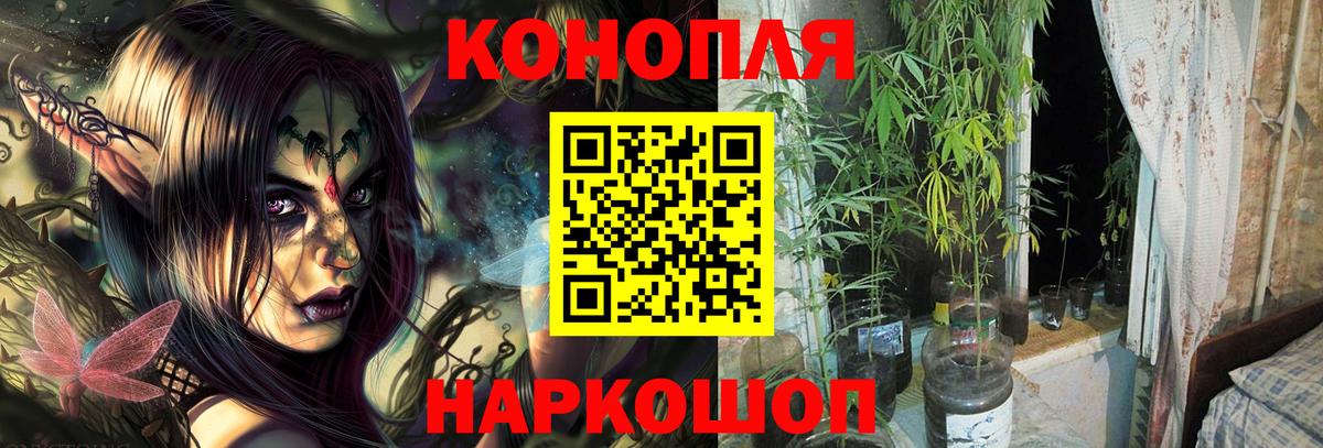 Миллерово  Шишки марихуана конопля  Конопля Amnesia  Вход с VPN  Марихуана планчик 